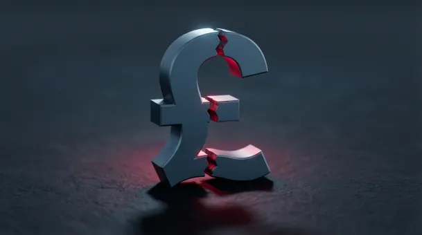 How to Choose the Right Website Designer for Your Business